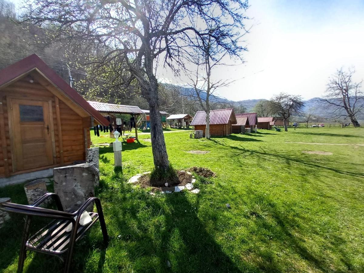 Camp &Apartmens Scepanovic 모이코바츠 외부 사진