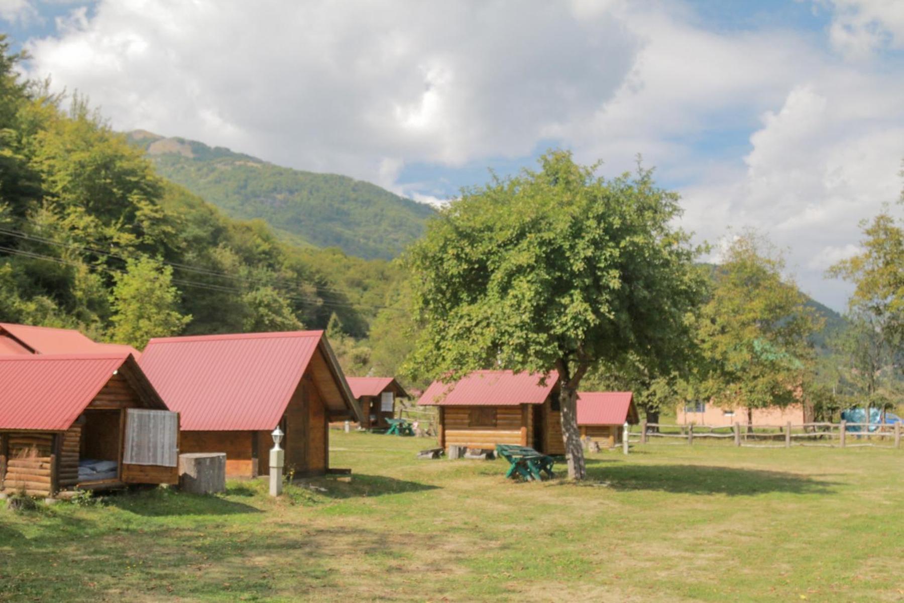 Camp &Apartmens Scepanovic 모이코바츠 외부 사진