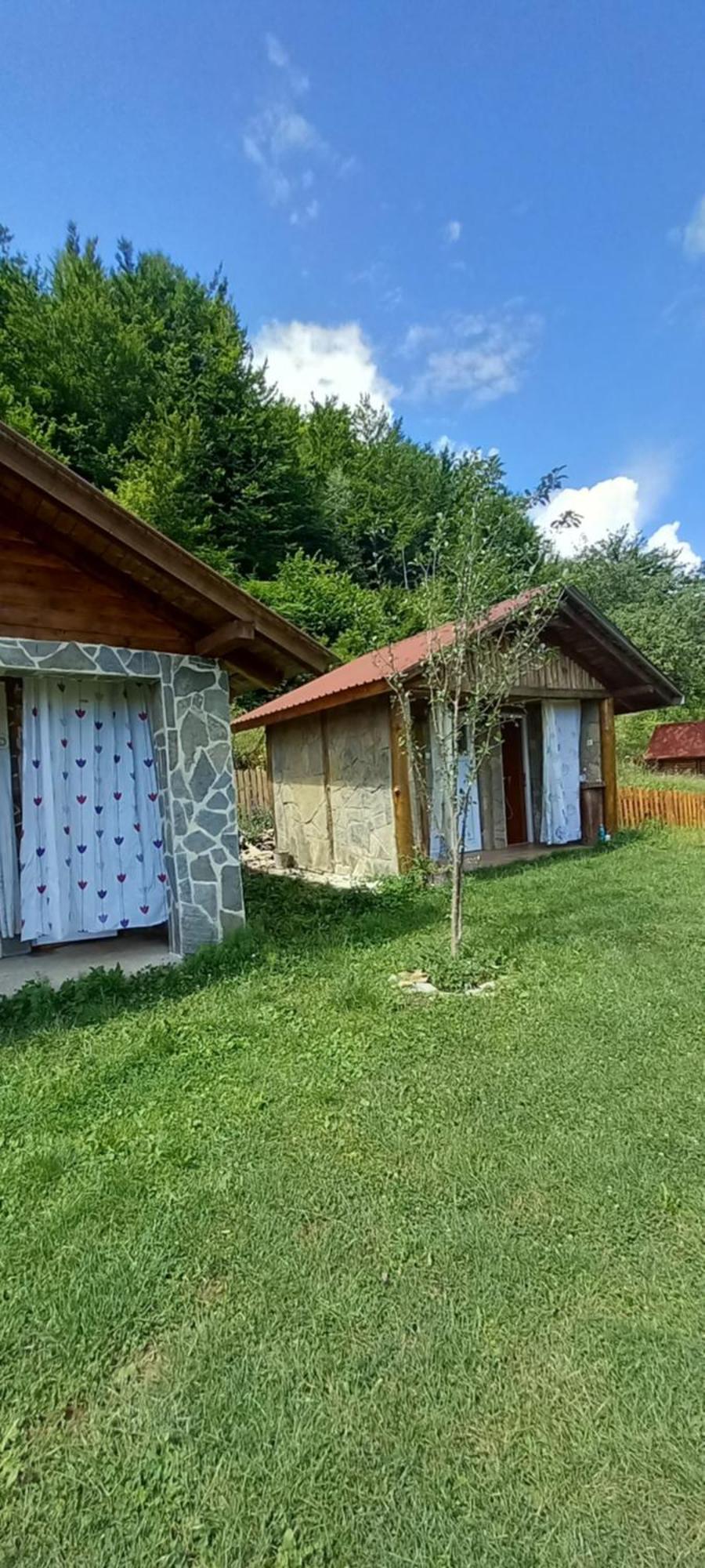 Camp &Apartmens Scepanovic 모이코바츠 외부 사진